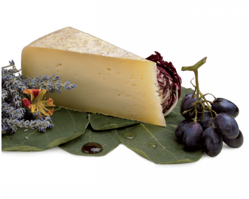 Toma Piemontese DOP 